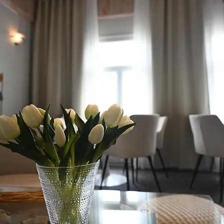 Ξενοδοχείο Boutique Savoir Savonlinna
